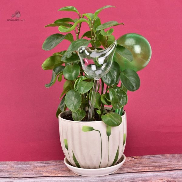 Accessoire d'arrosage goutte à goutte en verre coloré