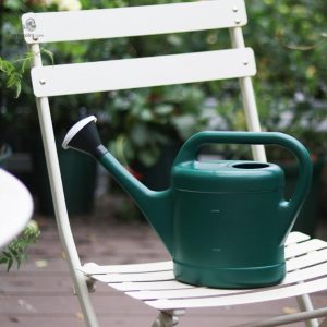 Design vintage de l'arrosoir Parisien pour une touche décorative