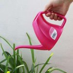 Arrosoir compact pour un arrosage précis des plantes d'intérieur