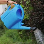 Arrosoir plastique bleu 5L pour jardinage pratique