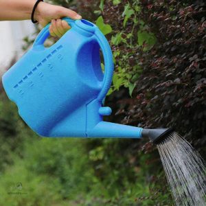Arrosoir plastique bleu 5L pour jardinage pratique