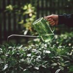Arrosoir gradué 1L pour un arrosage précis