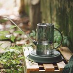 Petit arrosoir 1L, idéal pour les plantes d'intérieur