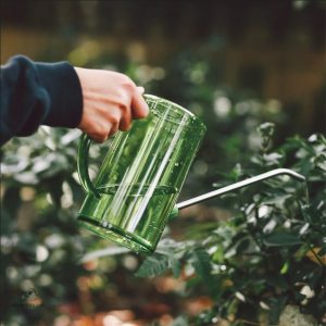 Arrosoir pratique 1L, parfait pour l'entretien des fleurs