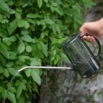 Arrosoir compact 1L pour un arrosage ciblé