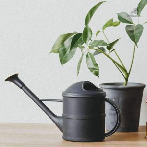 Arrosoir en plastique noir pour un arrosage pratique