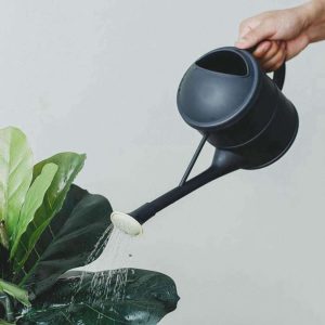 Arrosoir noir, design simple pour jardinage efficace