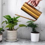 Arrosoir design pour l'entretien des plantes d'intérieur