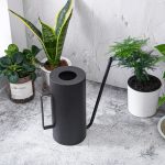 Accessoire pratique pour arroser vos plantes d'intérieur