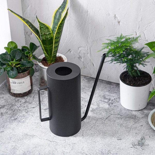 Accessoire pratique pour arroser vos plantes d'intérieur