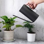 Arrosoir compact pour un arrosage précis des plantes
