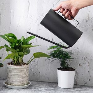 Arrosoir compact pour un arrosage précis des plantes