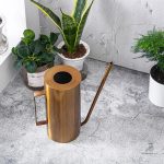 Outil essentiel pour l'arrosage des plantes d'intérieur