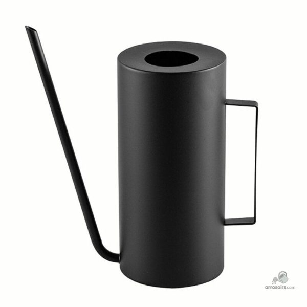 Arrosoir élégant pour un arrosage facile des fleurs