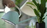 Arrosoir Rétro en métal pour un jardinage élégant