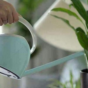 Arrosoir Rétro en métal pour un jardinage élégant