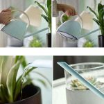 Arrosoir ancien, parfait pour l'arrosage des plantes d'intérieur
