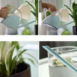Arrosoir ancien, parfait pour l'arrosage des plantes d'intérieur