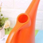 Arrosoir original, parfait pour arroser les plantes