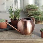 Arrosoir design pour une touche esthétique dans l'arrosage