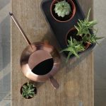 Arrosoir original en forme ronde, idéal pour les plantes