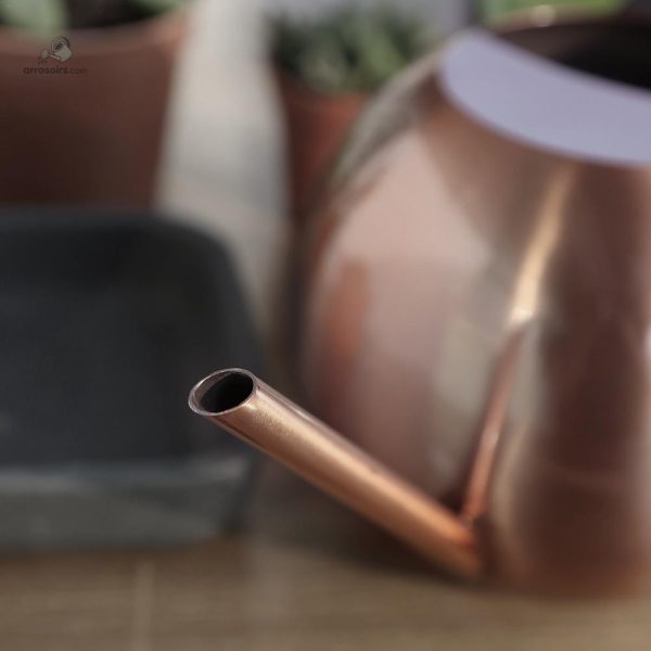 Arrosoir arrondi, parfait pour un entretien simple des plantes