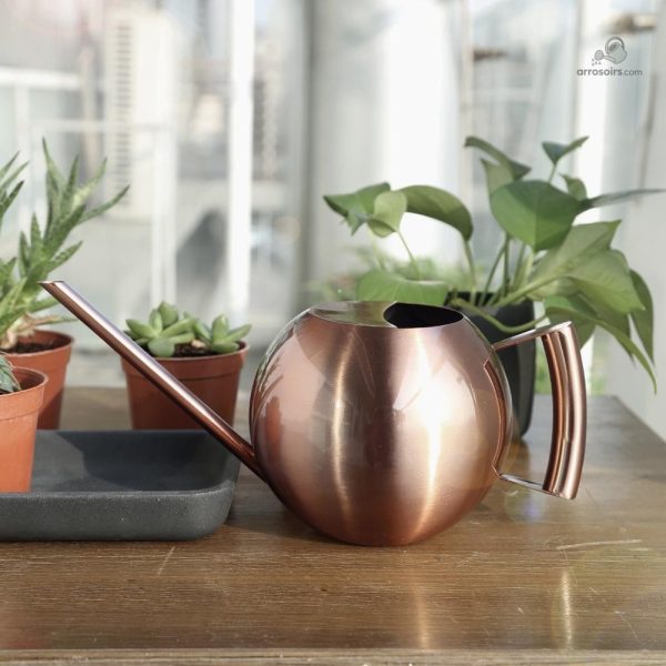 Arrosoir design, un choix esthétique pour les passionnés de jardinage