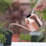 Arrosoir raffiné pour décoration extérieure