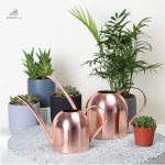 Arrosoir élégant pour plantes d'intérieur