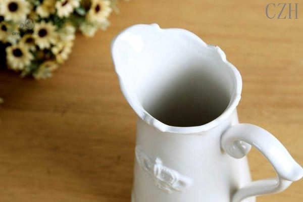 Arrosoir vintage, parfait pour arroser avec style