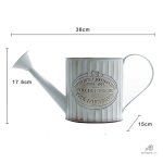 Arrosoir vintage, idéal pour embellir votre jardin