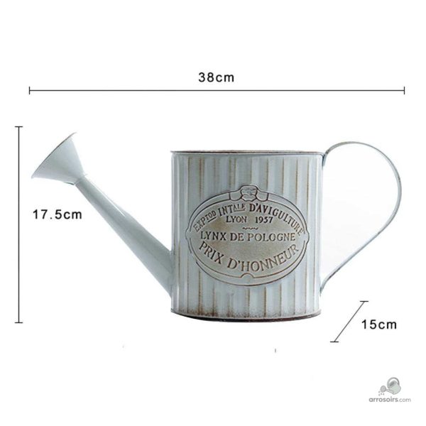 Arrosoir vintage, idéal pour embellir votre jardin