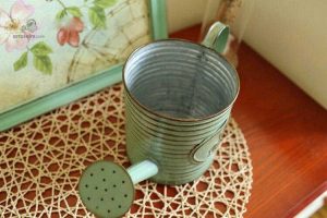 Arrosoir en fer pour une touche vintage dans votre jardin