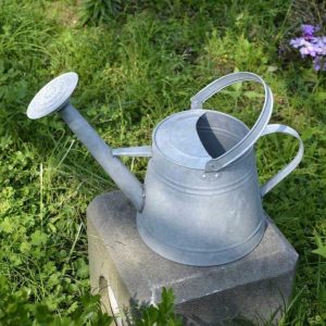 Arrosoir en métal galvanisé, design vintage et pratique pour le jardin