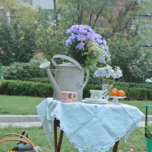 Arrosoir en zinc décoratif pour le jardin