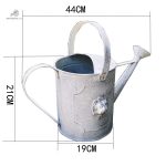 Arrosoir en zinc aux finitions soignées pour le jardin