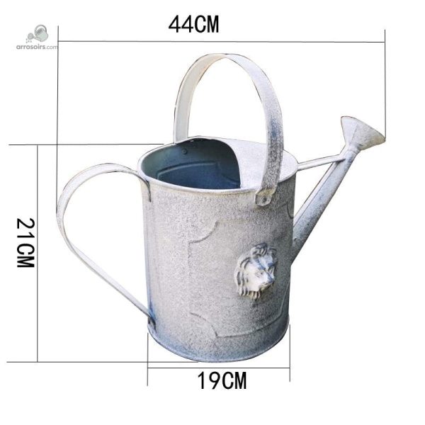 Arrosoir en zinc aux finitions soignées pour le jardin