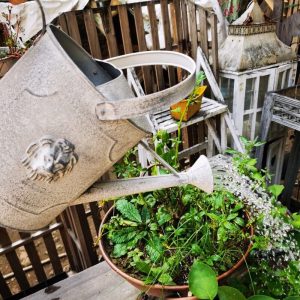Arrosoir zinc design élégant pour l'arrosage