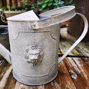 Accessoire jardin en zinc pour arroser les fleurs