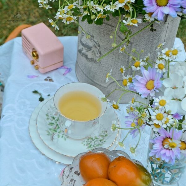 Arrosoir déco en métal pour un jardin stylé
