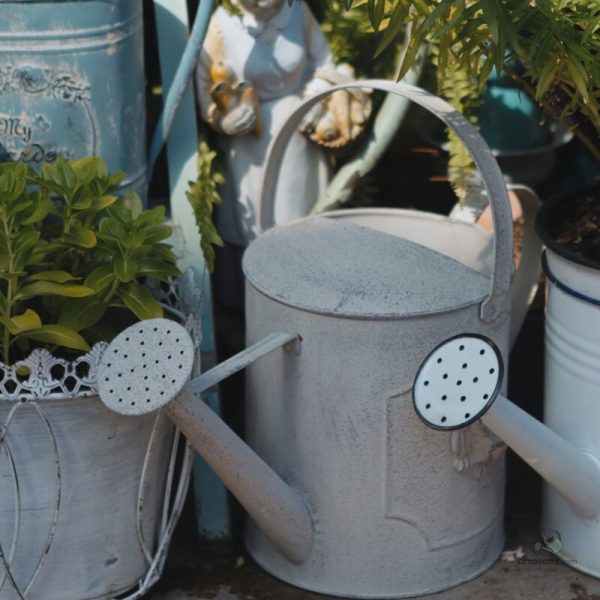 Arrosoir décoratif en zinc pour l'extérieur