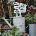Arrosoir en zinc pour un jardin charmant