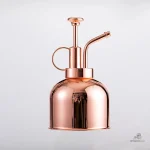 Vaporisateur pour brumiser les plantes d'intérieur