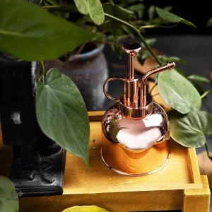 Vaporisateur cuivré élégant pour soins des plantes