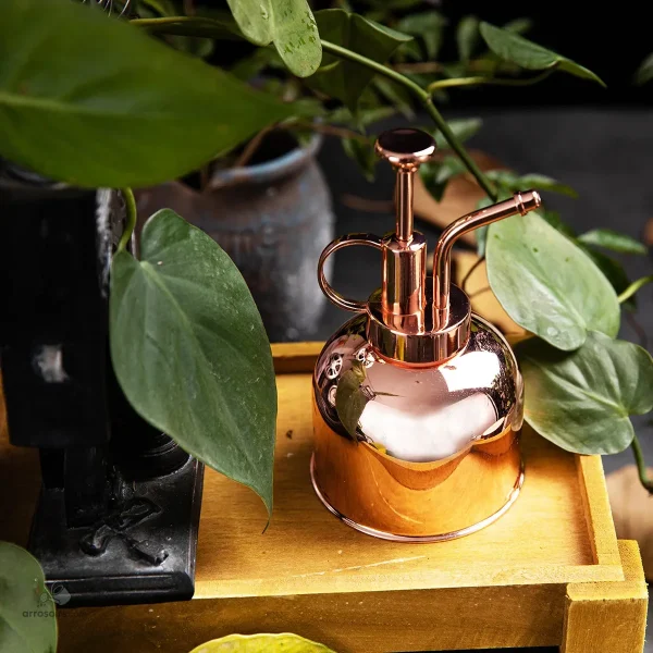Vaporisateur cuivré élégant pour soins des plantes
