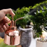 Brumisateur pour humidifier l'air des plantes