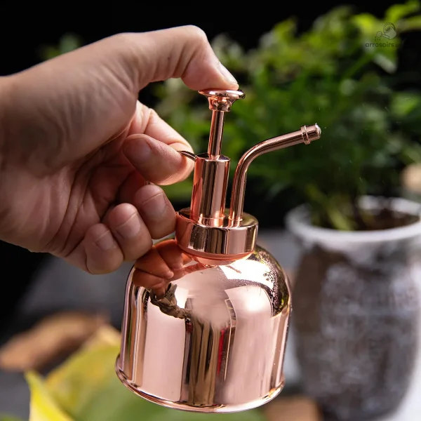 Vaporisateur cuivré pour entretien des plantes vertes