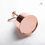 Vaporisateur raffiné pour soins des feuillages