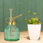 Vaporisateur en verre pour humidifier les plantes facilement
