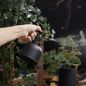 Brumisateur Noir mat pour vaporiser les plantes